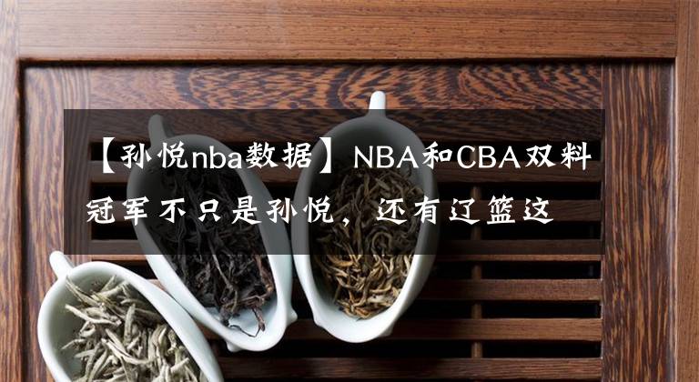 【孫悅nba數(shù)據(jù)】NBA和CBA雙料冠軍不只是孫悅，還有遼籃這位內(nèi)線硬漢