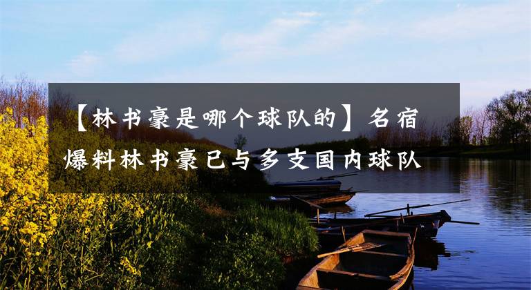 【林書豪是哪個球隊的】名宿爆料林書豪已與多支國內(nèi)球隊會面，下賽季大概率重返CBA