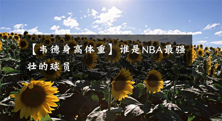 【韋德身高體重】誰是NBA最強(qiáng)壯的球員