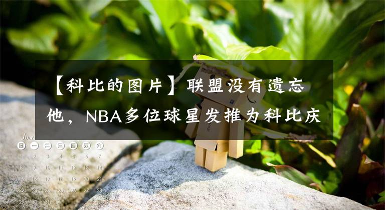 【科比的圖片】聯(lián)盟沒(méi)有遺忘他，NBA多位球星發(fā)推為科比慶生，加索爾最為感動(dòng)