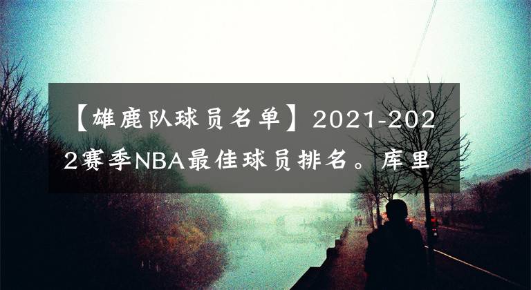 【雄鹿隊球員名單】2021-2022賽季NBA最佳球員排名。庫里第四，詹姆斯第三