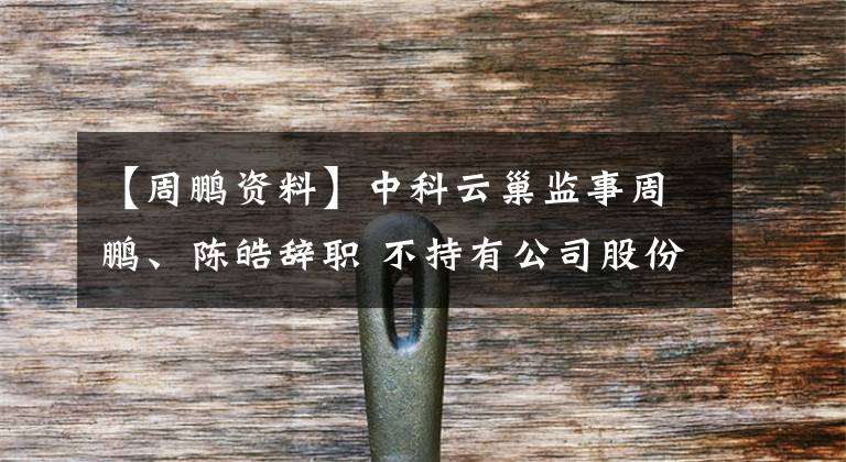 【周鵬資料】中科云巢監(jiān)事周鵬、陳皓辭職 不持有公司股份