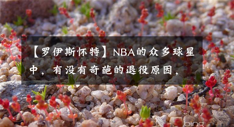 【羅伊斯懷特】NBA的眾多球星中，有沒有奇葩的退役原因，都有誰吶