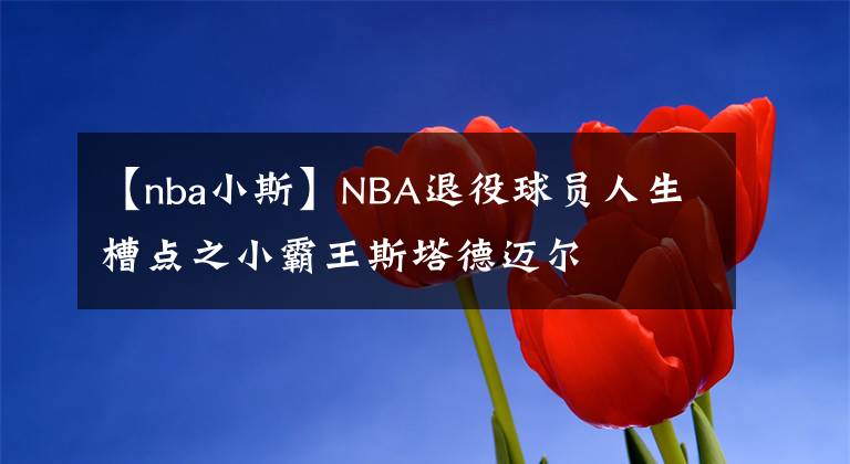 【nba小斯】NBA退役球員人生槽點(diǎn)之小霸王斯塔德邁爾