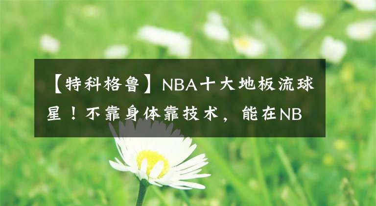 【特科格魯】NBA十大地板流球星！不靠身體靠技術(shù)，能在NBA混成啥樣？