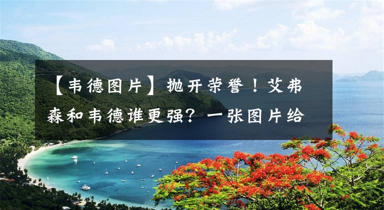 【韋德圖片】拋開榮譽！艾弗森和韋德誰更強？一張圖片給出答案，球迷認可