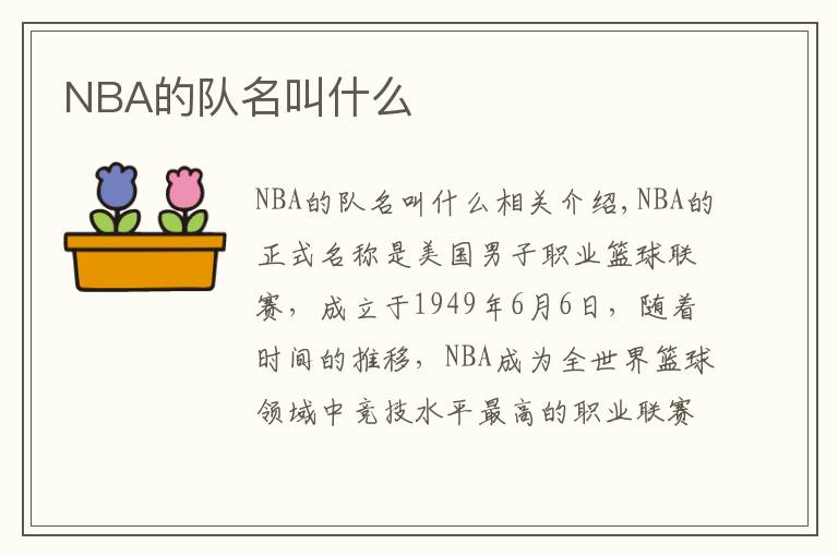 NBA的隊名叫什么