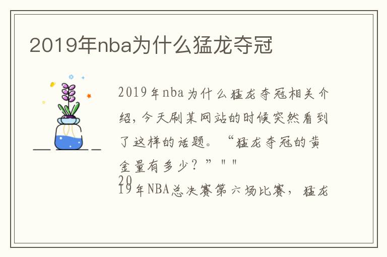 2019年nba為什么猛龍奪冠