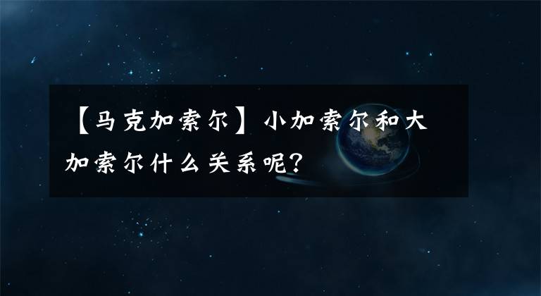 【馬克加索爾】小加索爾和大加索爾什么關系呢？