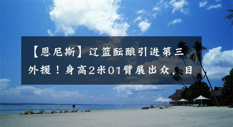 【恩尼斯】遼籃醞釀引進第三外援！身高2米01臂展出眾，目光鎖定恩尼斯