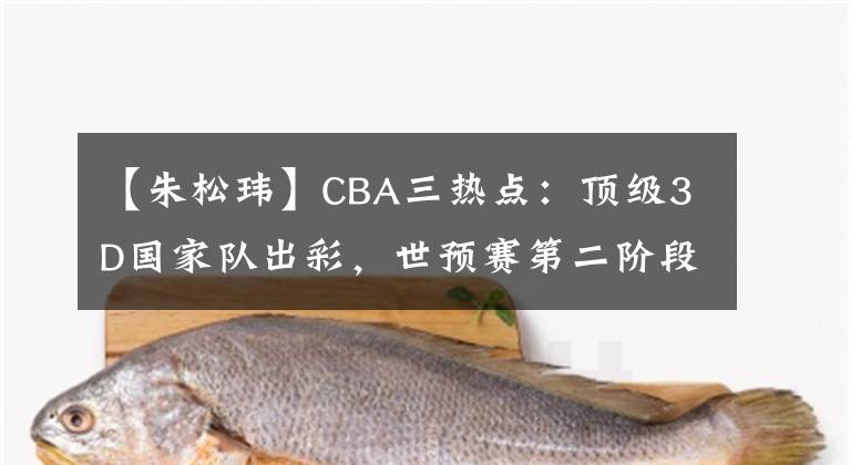 【朱松瑋】CBA三熱點(diǎn)：頂級(jí)3D國家隊(duì)出彩，世預(yù)賽第二階段出爐，朱松瑋被挖