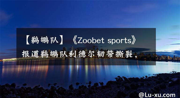 【鵜鶘隊】《Zoobet sports》報道鵜鶘隊利德爾韌帶撕裂，現(xiàn)實從來都很殘酷