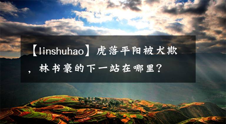 【linshuhao】虎落平陽被犬欺，林書豪的下一站在哪里？