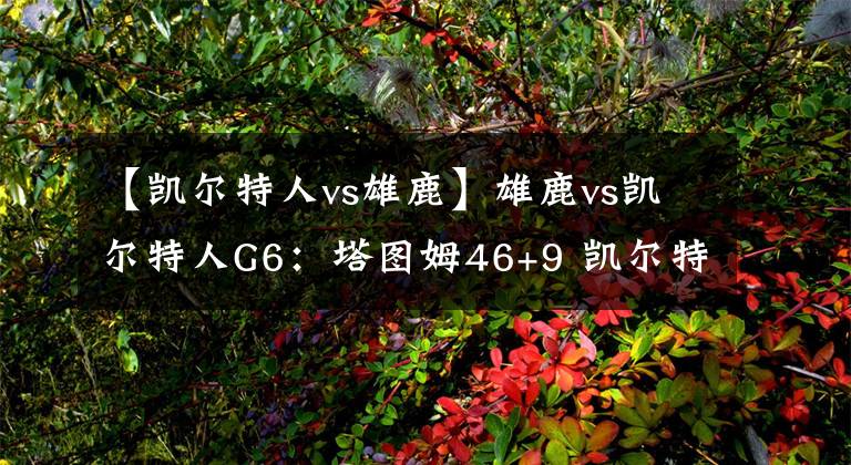 【凱爾特人vs雄鹿】雄鹿vs凱爾特人G6：塔圖姆46+9 凱爾特人贏下雄鹿 雙方進(jìn)入搶七