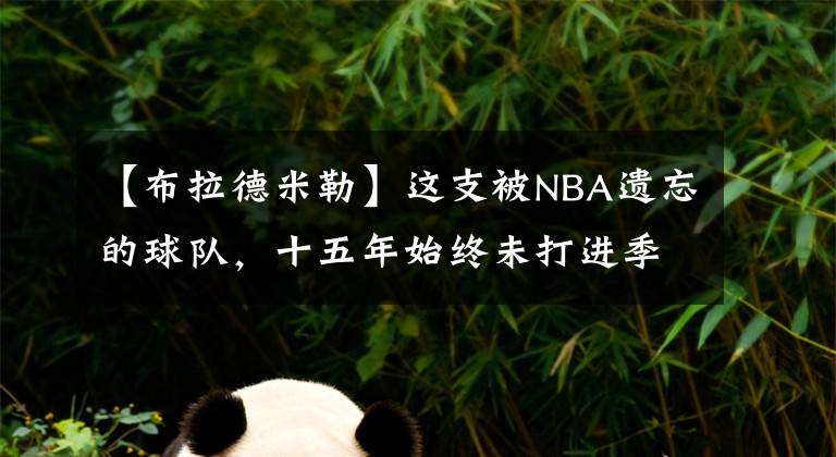 【布拉德米勒】這支被NBA遺忘的球隊(duì)，十五年始終未打進(jìn)季后賽