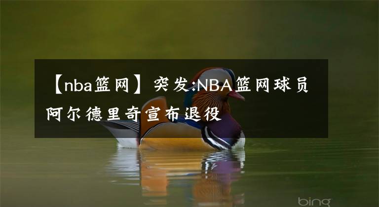 【nba籃網(wǎng)】突發(fā):NBA籃網(wǎng)球員阿爾德里奇宣布退役