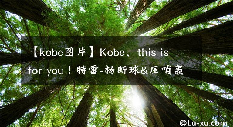 【kobe圖片】Kobe，this is for you！特雷-楊斷球&壓哨轟進(jìn)logo三分