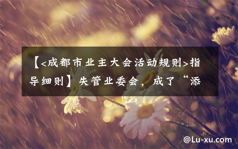 【<成都市業(yè)主大會(huì)活動(dòng)規(guī)則>指導(dǎo)細(xì)則】失管業(yè)委會(huì)，成了“添堵會(huì)”：部分業(yè)委會(huì)運(yùn)行亂象調(diào)查