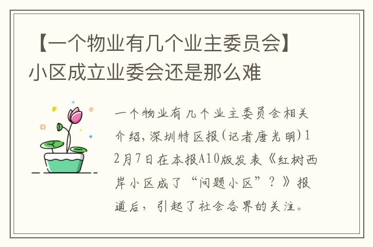 【一個(gè)物業(yè)有幾個(gè)業(yè)主委員會(huì)】小區(qū)成立業(yè)委會(huì)還是那么難