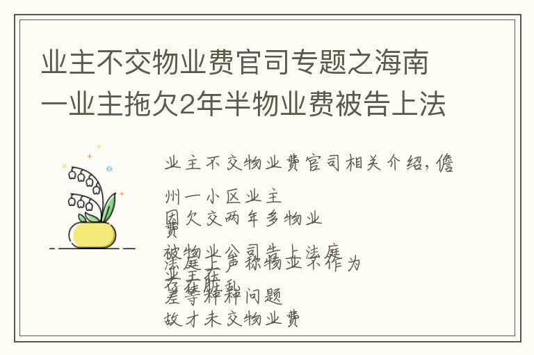 業(yè)主不交物業(yè)費官司專題之海南一業(yè)主拖欠2年半物業(yè)費被告上法庭，法院駁回……