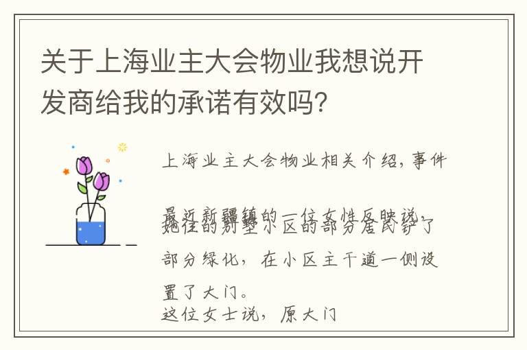 關(guān)于上海業(yè)主大會物業(yè)我想說開發(fā)商給我的承諾有效嗎？