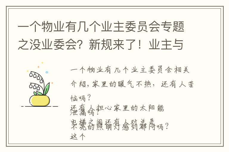 一個(gè)物業(yè)有幾個(gè)業(yè)主委員會(huì)專題之沒業(yè)委會(huì)？新規(guī)來了！業(yè)主與物業(yè)公司共同管理小區(qū)