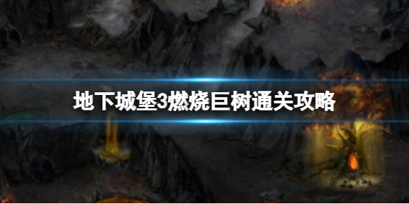 地下城堡3燃燒巨樹怎么過 地下城堡3魂之詩新手入門常見問題總結(jié)