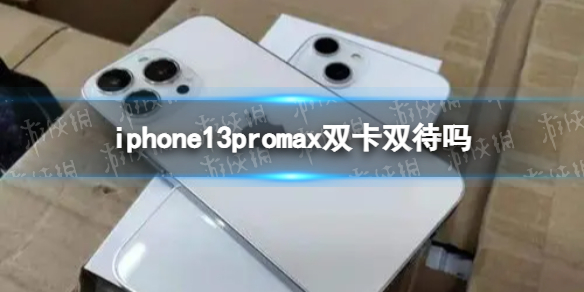 iphone13promax是雙卡雙待嗎 iphone新手攻略技巧