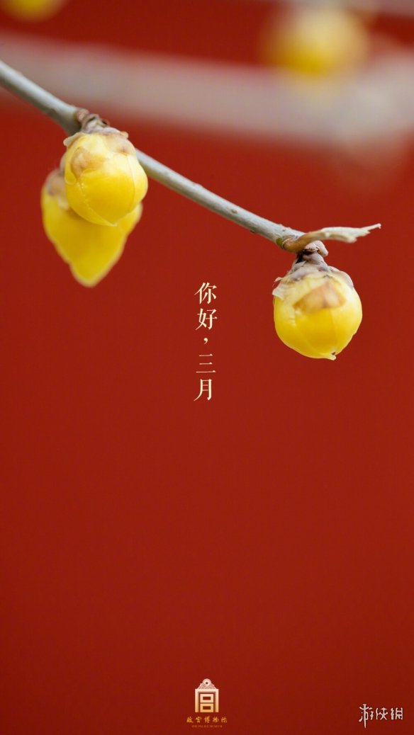 三月第一天祝福語(yǔ)大全 梗百科新手教程詳解