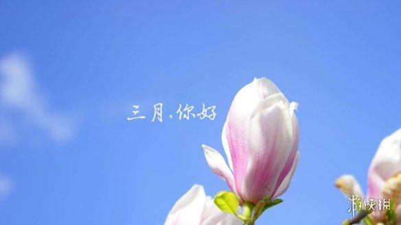 三月第一天祝福語(yǔ)大全 梗百科新手教程詳解