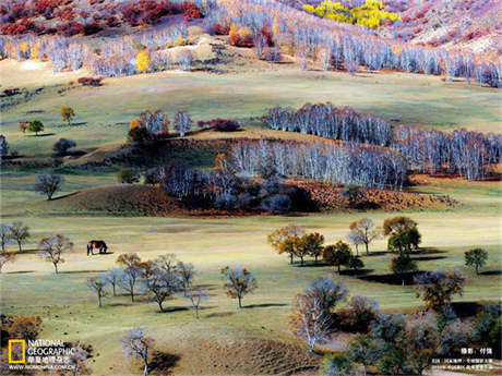 分紅型保險(xiǎn)陷阱在哪 什么是分紅型保險(xiǎn) 分紅型保險(xiǎn)有哪些陷阱？