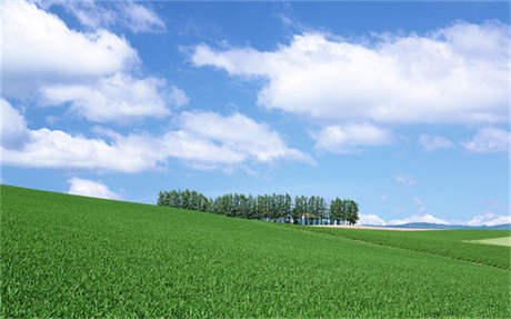 界碑 讀懂邊關(guān)，走近高黎貢山上的31號(hào)界碑