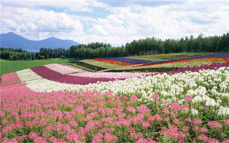 民間借款借條樣板 借條的標(biāo)準(zhǔn)格式 民間借條的標(biāo)準(zhǔn)格式是怎樣？