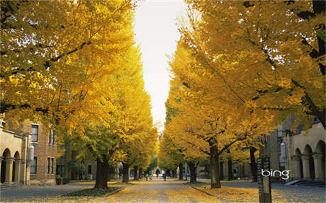 閃閃的紅星舞蹈 以舞蹈重塑紅色經(jīng)典，《閃閃的紅星》《永不消逝的電波》搬上舞臺(tái)