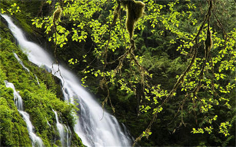 嶗山起火 青島嶗山突發(fā)山火 為什么起火究竟是怎么回事？