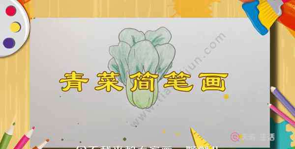 蔬菜的簡(jiǎn)筆畫 青菜簡(jiǎn)筆畫