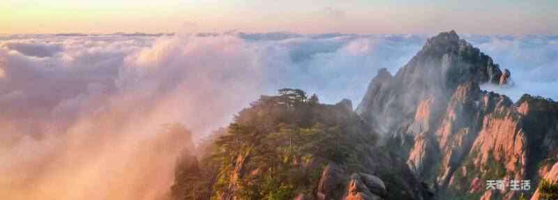 只緣身在最高層的前一句是什么 不畏浮云遮望眼,自緣身在最高層賞析 登飛來峰典故