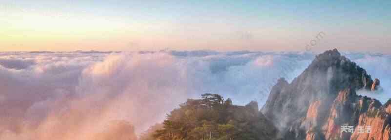 登飛來峰原文 登飛來峰的主旨 登飛來峰賞析