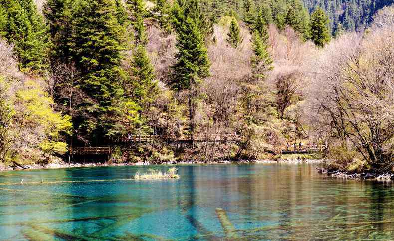 火花海 九寨溝火花海將于國慶前開放 景區(qū)門票多少錢？