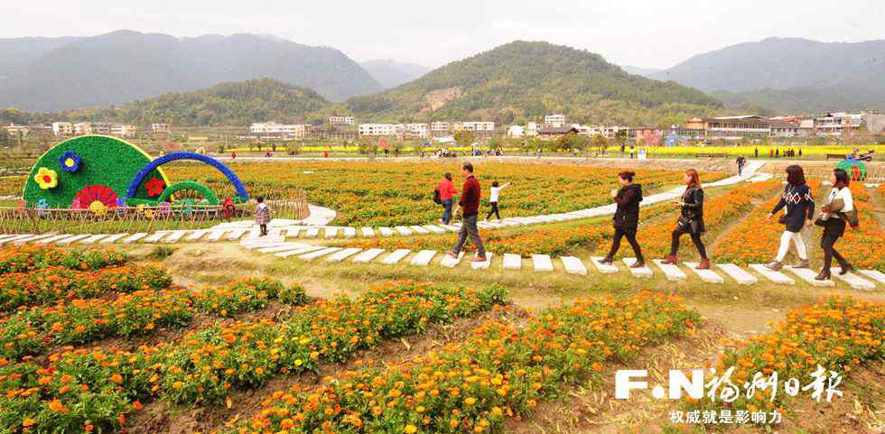 花之谷 閩侯孔元村“花之谷”人氣回升