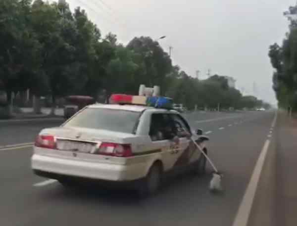 流浪狗怎么處理 開警車拖拽流浪狗事件始末及原因曝光 遇到流浪狗要怎么處理