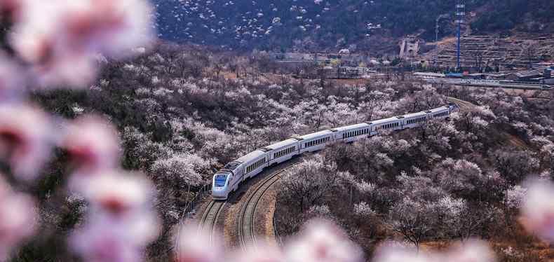 子彈頭列車 最快子彈頭列車 預(yù)計(jì)2030年可投入運(yùn)營