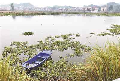 假死騙保 騙保假死妻兒溺亡 湖南假自殺騙保案細(xì)節(jié)曝光 真相令人淚目！