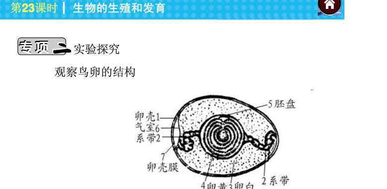 鳥卵的結構 2014八年級生物會考：觀察鳥卵的結構