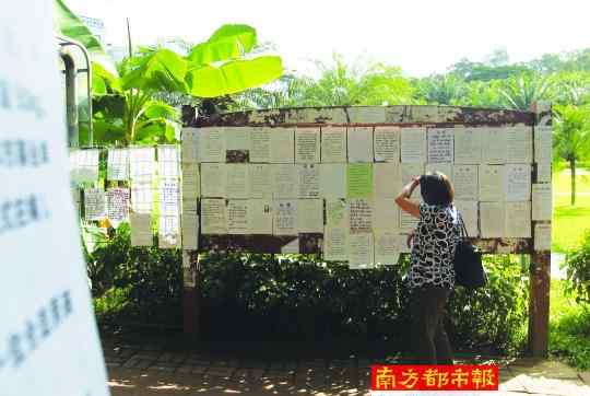 深圳相親 深圳蓮花山公園相親角火爆 “男方要有房”仍是重中之重