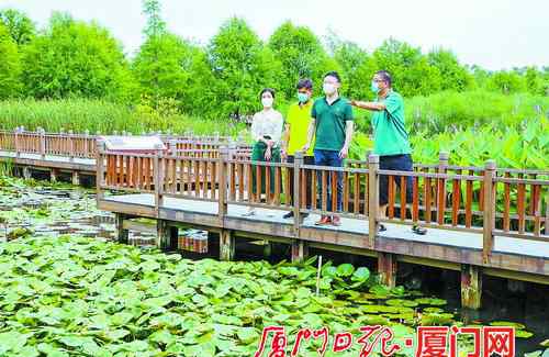 廈門(mén)五緣灣濕地公園 廈門(mén)五緣灣片區(qū)生態(tài)修復(fù)案例成為全國(guó)樣板