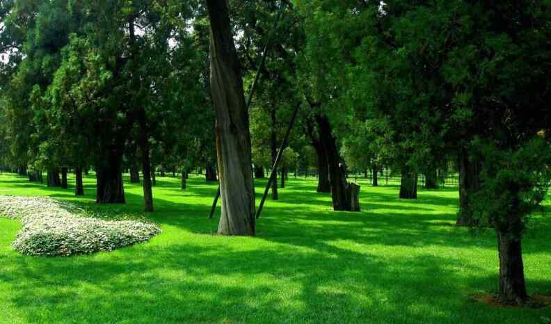 情侶打野戰(zhàn)視頻 公園不堪入目情侶視頻 不雅視頻曝光爭議巨大