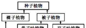 人類繁殖的正確姿勢 ?2019年中考會考生物試題及答案