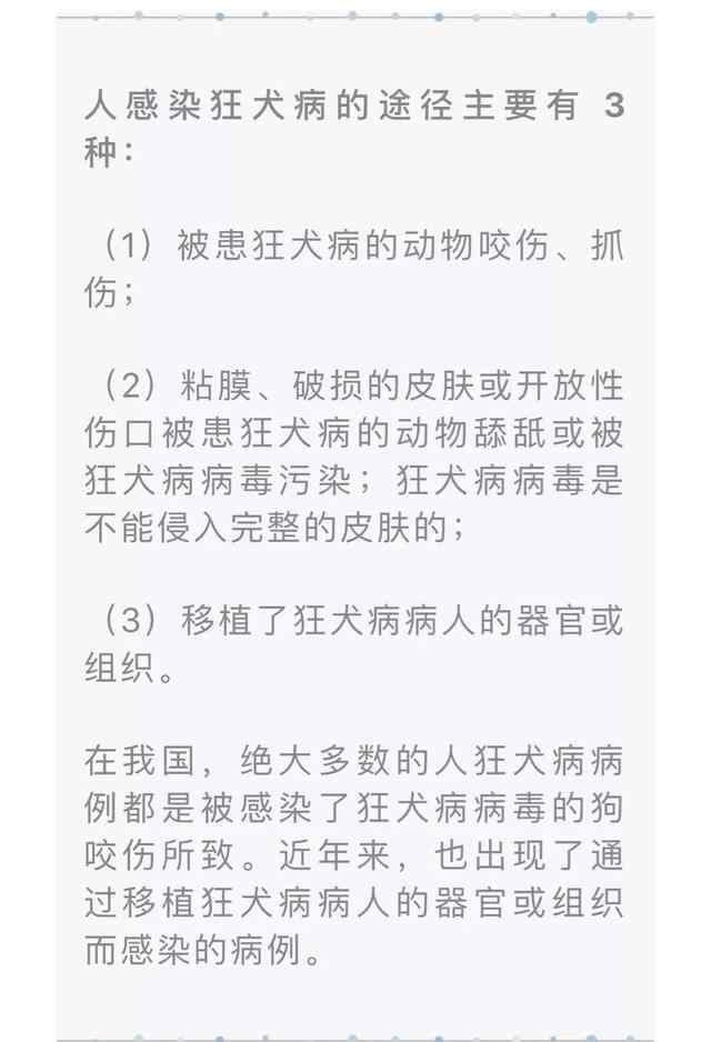 手被流浪狗舔身亡 9歲男孩被狗舔手后死亡真相是什么？男孩被狗舔手后死亡死因是什么