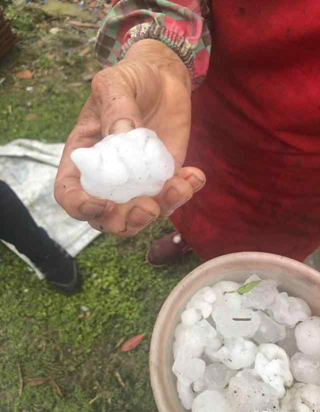 溫州下冰雹 溫州冰雹怎么回事？溫州冰雹現(xiàn)場(chǎng)高清圖有人受傷嗎？